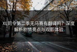XL司令第二季无马赛有翻译吗？深度解析剧情亮点与观影体验
