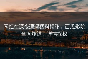网红在深夜遭遇猛料揭秘，西瓜影院全网炸锅，详情探秘