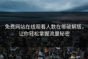 免费网站在线观看人数在哪破解版，让你轻松掌握流量秘密
