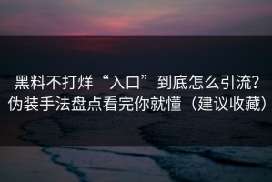 黑料不打烊“入口”到底怎么引流？伪装手法盘点看完你就懂（建议收藏）