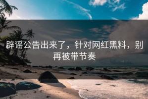 辟谣公告出来了，针对网红黑料，别再被带节奏