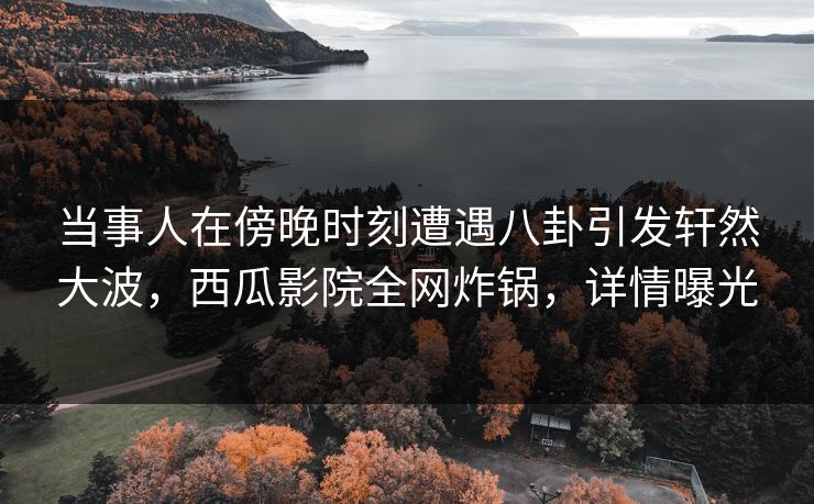 当事人在傍晚时刻遭遇八卦引发轩然大波，西瓜影院全网炸锅，详情曝光