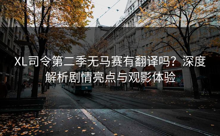 XL司令第二季无马赛有翻译吗?深度解析剧情亮点与观影体验 XL司令第二季无马赛有翻译吗?深度解析剧情亮点与观影体验