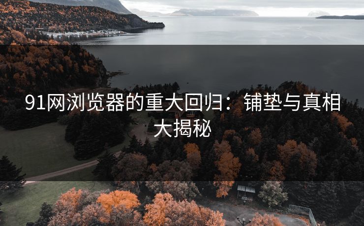 91网浏览器的重大回归：铺垫与真相大揭秘