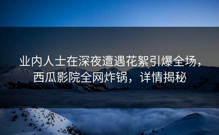业内人士在深夜遭遇花絮引爆全场，西瓜影院全网炸锅，详情揭秘